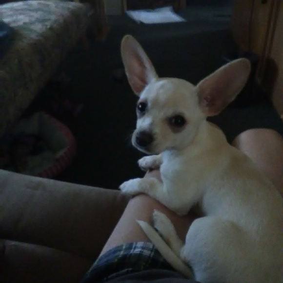 NWOT - Picture 4 of 8